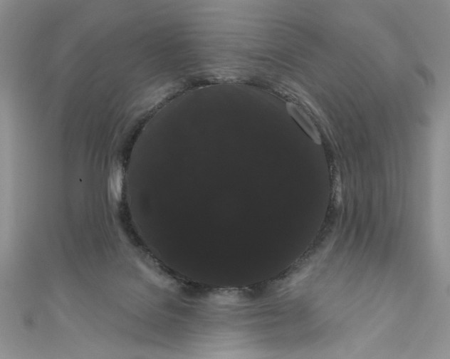 X0000111050076200907161413