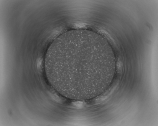 X0000111050079200907161413