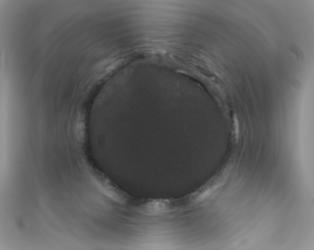 X0000111050080200907161413