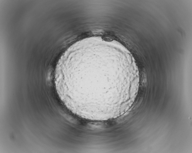 X0000111050082200907161414