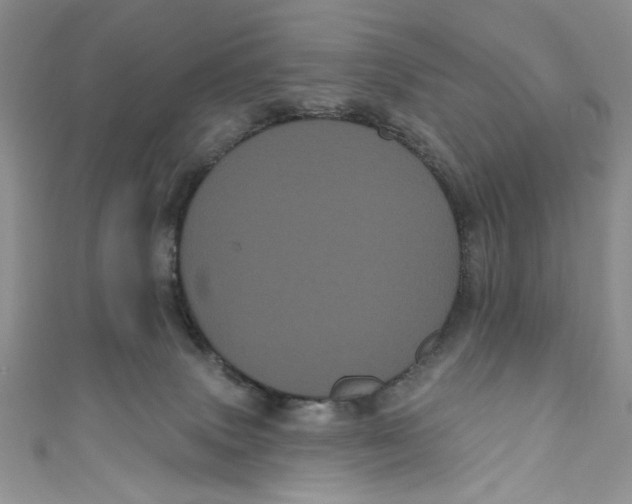 X0000111050083200907161414