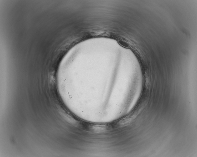 X0000111050085200907161414