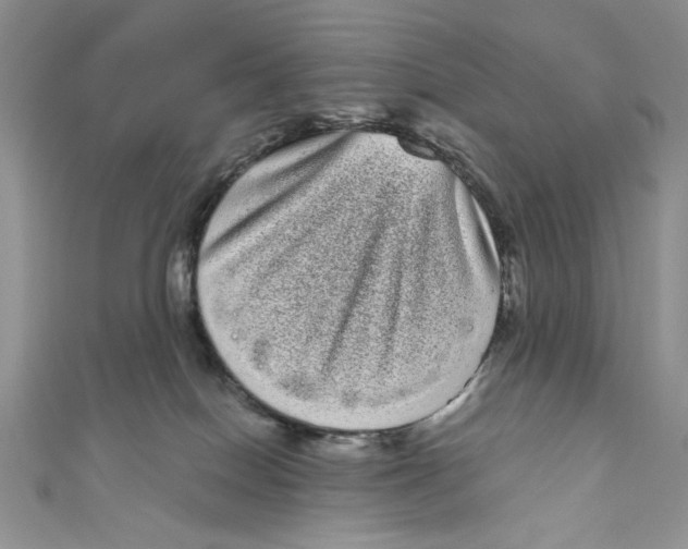 X0000111050086200907161414