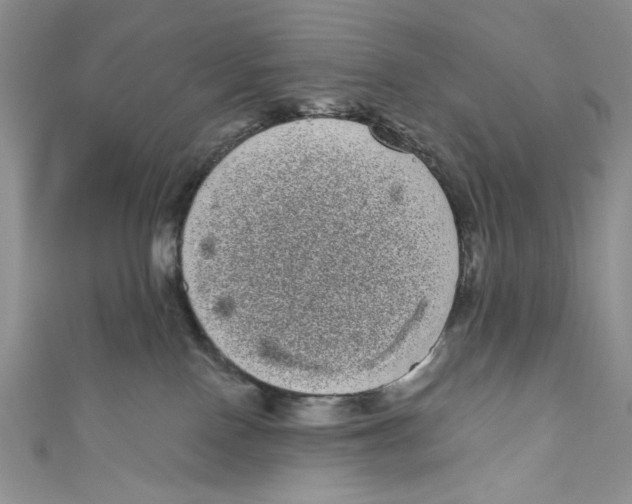 X0000111050090200907161414