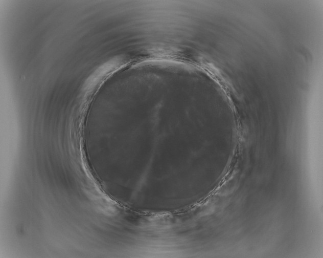 X0000111050097200907161413