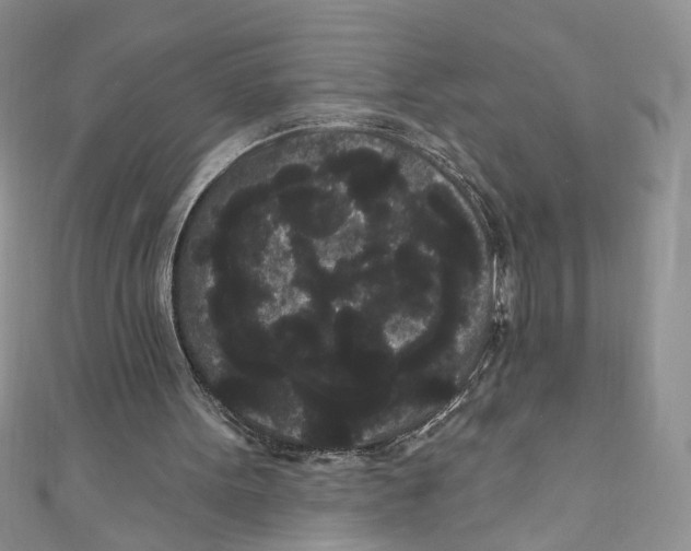 X0000111050099200907161413