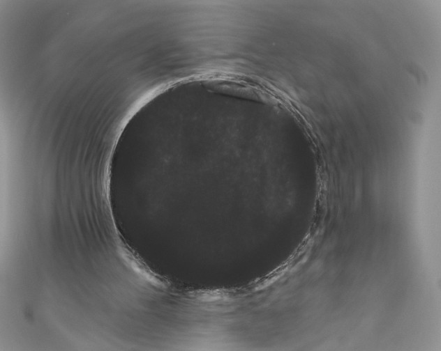 X0000111050100200907161413