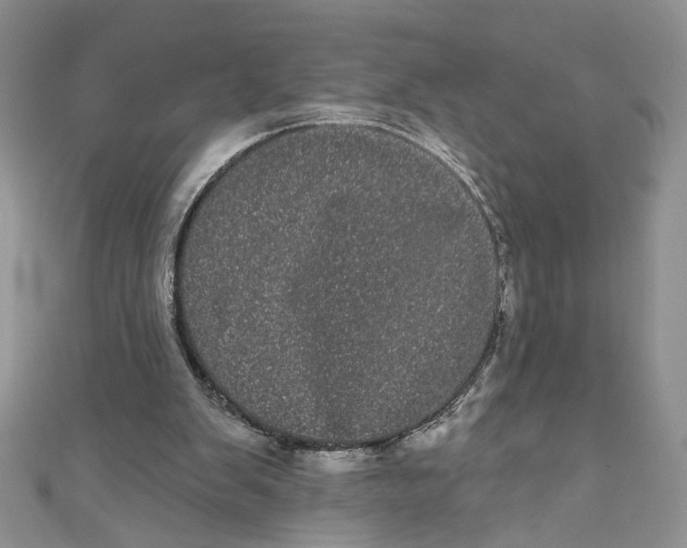 X0000111050103200907161413