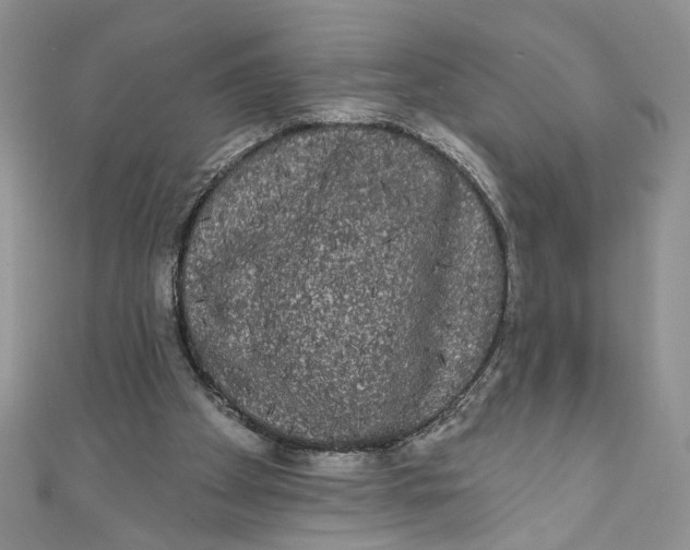 X0000111050105200907161413