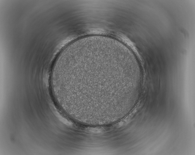 X0000111050106200907161413