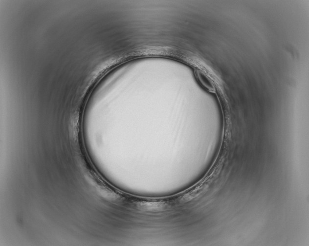 X0000111050107200907161413