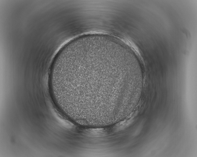 X0000111050108200907161413