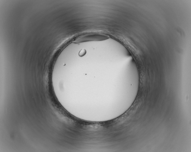 X0000111050112200907161413