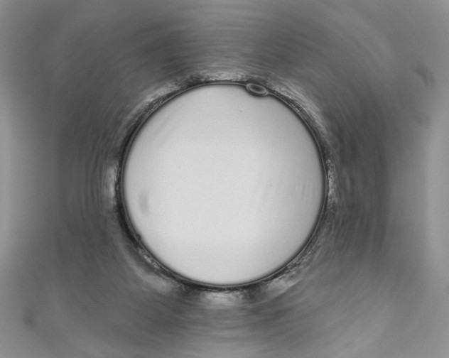 X0000111050115200907161413