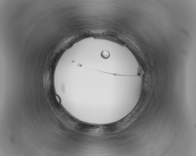 X0000111050116200907161413