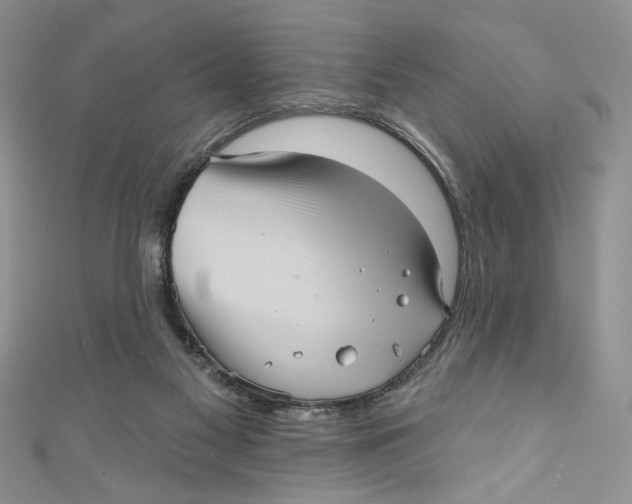 X0000111050117200907161413