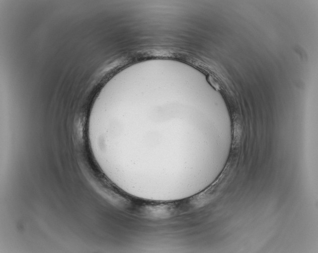 X0000111050120200907161413