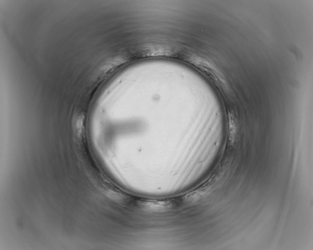 X0000111050123200907161413