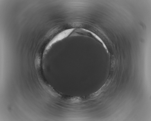 X0000111050124200907161413