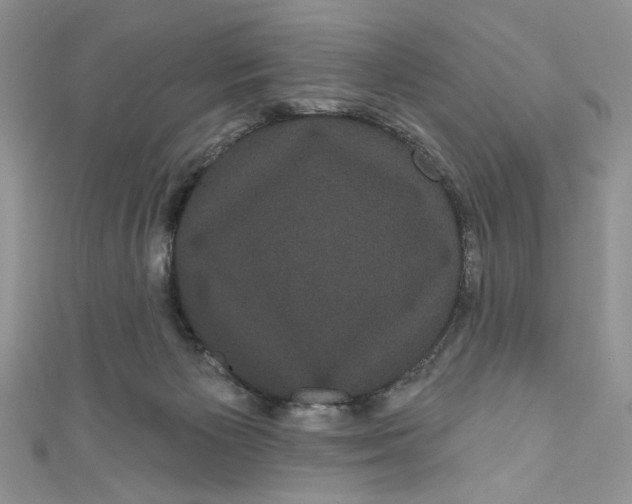 X0000111050125200907161413