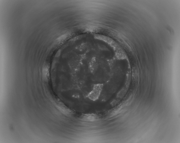 X0000111050127200907161413