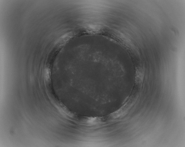 X0000111050130200907161413