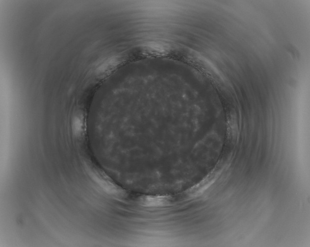 X0000111050134200907161413