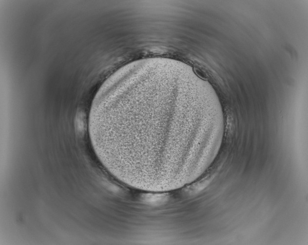 X0000111050135200907161413