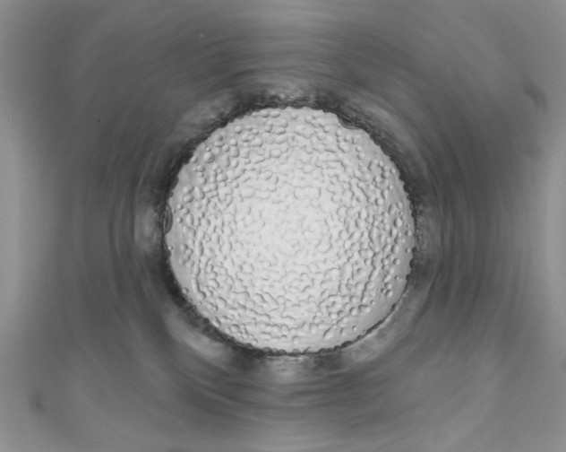 X0000111050136200907161413