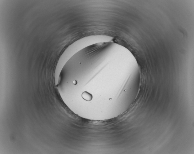 X0000111050141200907161413