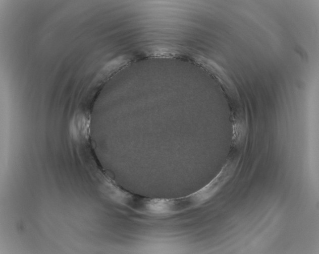 X0000111050142200907161412