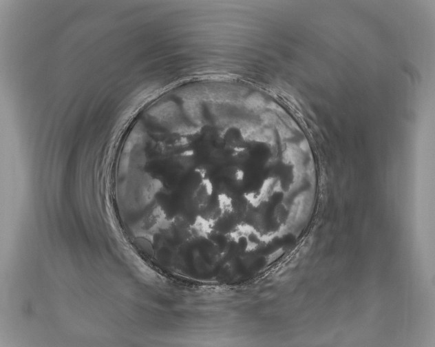 X0000111050145200907161412