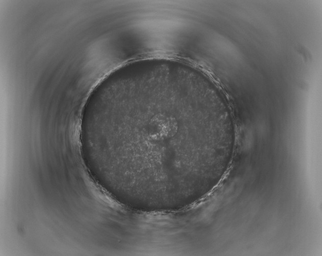 X0000111050146200907161412