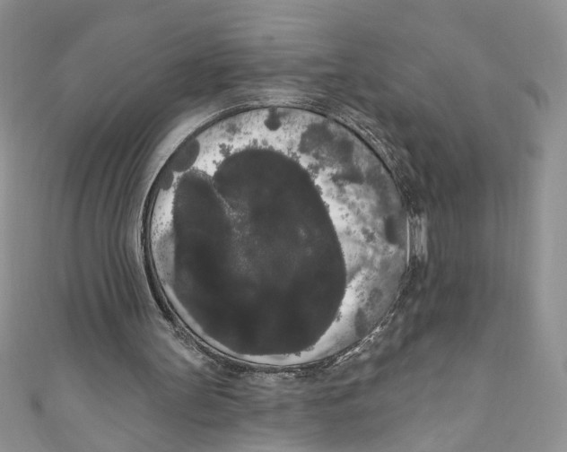 X0000111050147200907161412