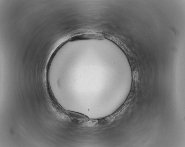 X0000111050148200907161412