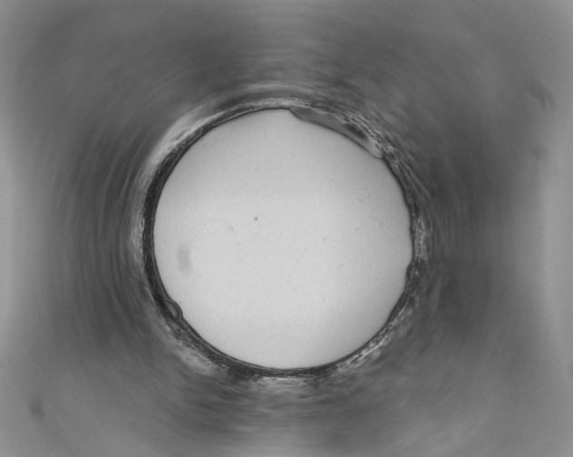 X0000111050150200907161412