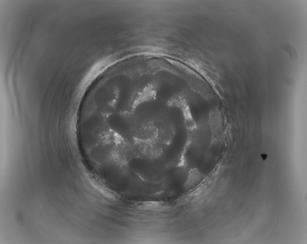 X0000111050151200907161412