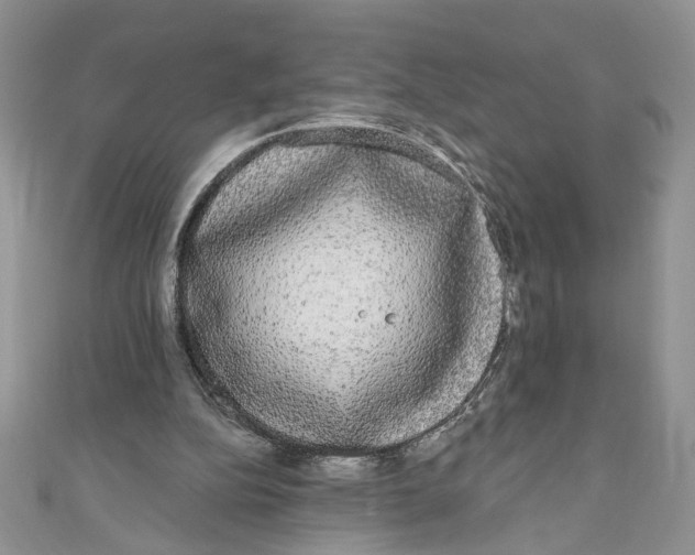 X0000111050152200907161412