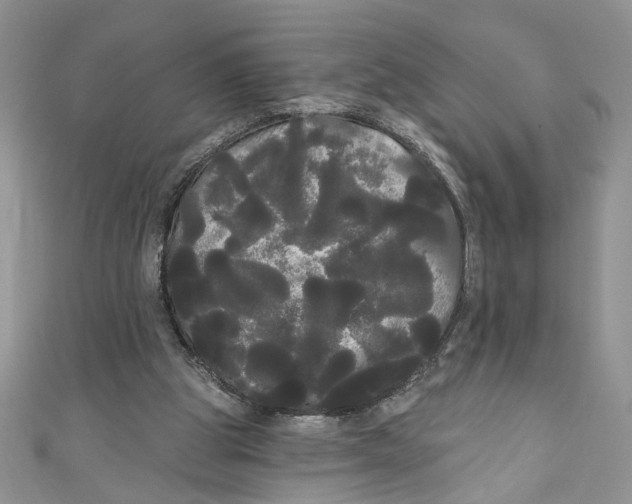 X0000111050153200907161412