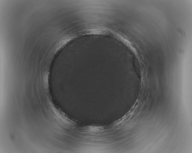 X0000111050154200907161412