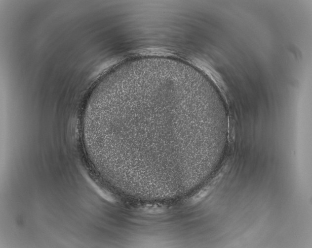 X0000111050157200907161412