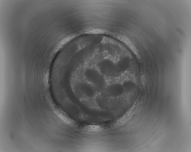 X0000111050159200907161412