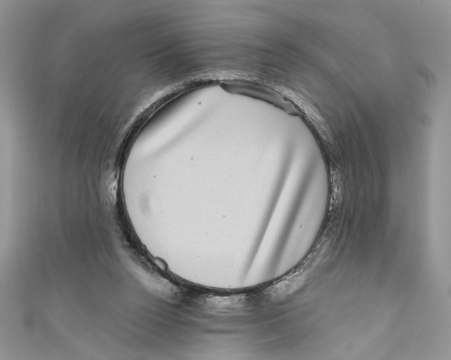 X0000111050160200907161412