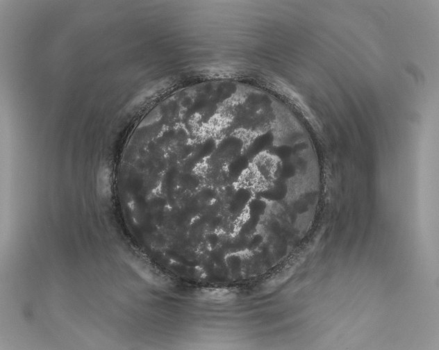 X0000111050161200907161412