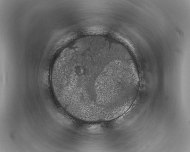 X0000111050162200907161412