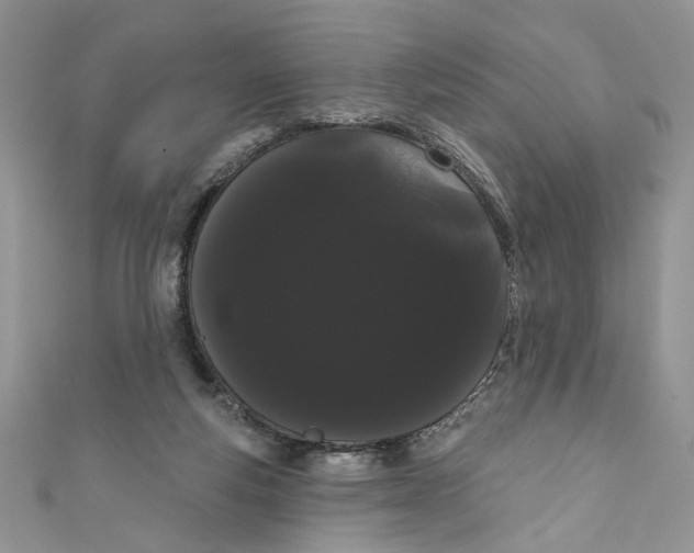 X0000111050163200907161412