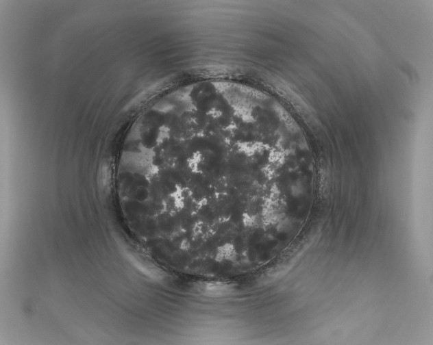 X0000111050165200907161412