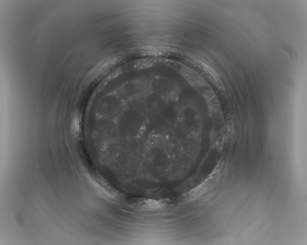 X0000111050166200907161412