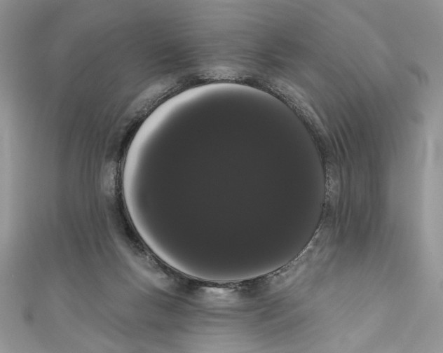 X0000111050167200907161412