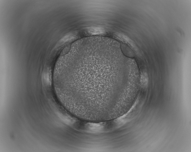 X0000111050170200907161412